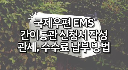 국제우편 EMS 간이통관 신청 방법 비용 관세 수수료
