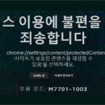 넷플릭스 재생 오류 코드 M7701, M7702, M7357 해결 방법