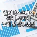 알리익스프레스 관세, 부가세(관부가세) 조회 및 납부 방법