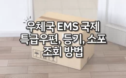 우체국 EMS 국제특급우편 등기 소포 조회 방법