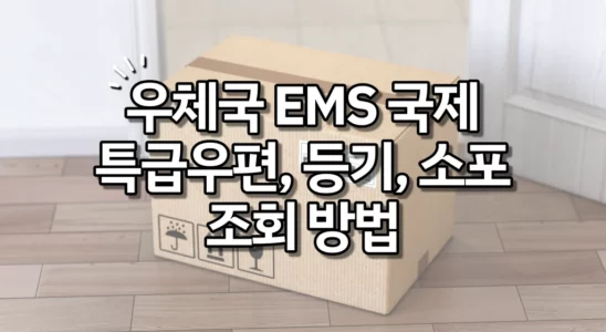 우체국 EMS 국제특급우편 등기 소포 조회 방법