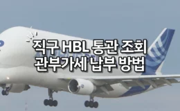 직구 HBL 통관 조회 및 관부가세 납부 방법