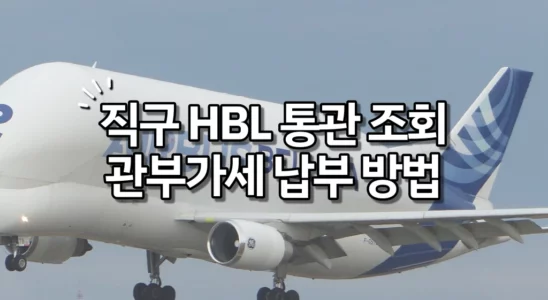 직구 HBL 통관 조회 및 관부가세 납부 방법