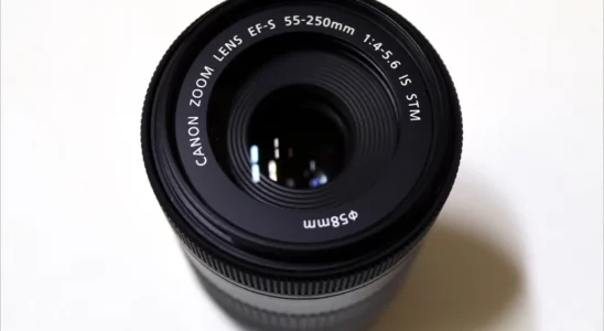 캐논 EF S 55 250mm F4 5.6 IS STM 렌즈 간단 리뷰 9