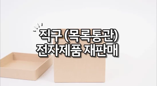직구 목록통관 전자제품 재판매 금지 1