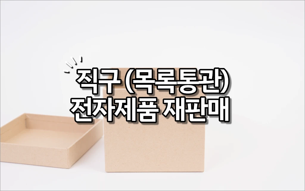 직구 목록통관 전자제품 재판매 금지 1