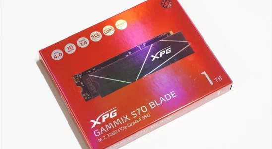 ADATA XPG GAMMIX S70 BLADE M.2 NVMe SSD 1TB 리뷰 2