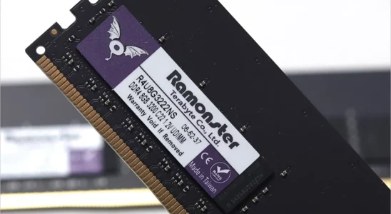 Terabyte Ramonster DDR4 8G PC4 25600 리뷰 1