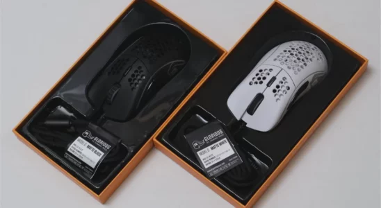글로리어스 오딘 모델 D Glorious O.D.I.N Model D 리뷰 5
