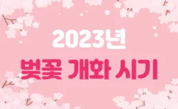 2023년 전국 주요도시 벚꽃 개화 시기 1