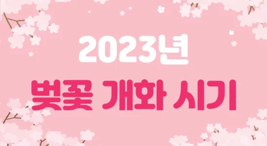 2023년 전국 주요도시 벚꽃 개화 시기 1
