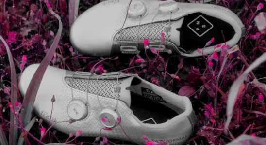Pas Normal Studios x Fizik Mechanism Road Shoe 3
