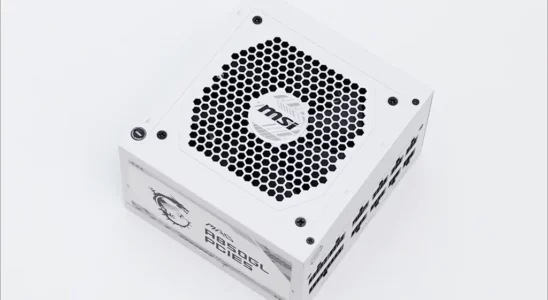 MSI MAG A850GL PCIE5 화이트 021