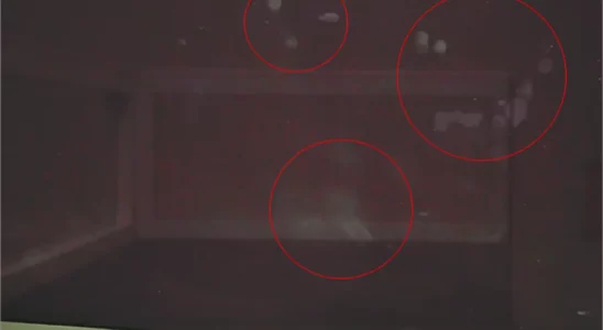 OLED 모니터를 올바르게 청소하는 방법 1