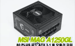 MSI MAG A1250GL 80PLUS골드 풀모듈러 ATX3.1 리뷰 40
