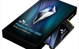 SK하이닉스 Platinum P51 NVMe SSD 1