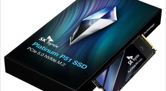 SK하이닉스 Platinum P51 NVMe SSD 1