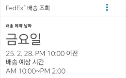 페덱스 제3자 현력업체 국내 배송 조회 01
