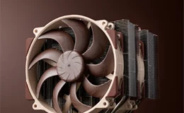Noctua 2025